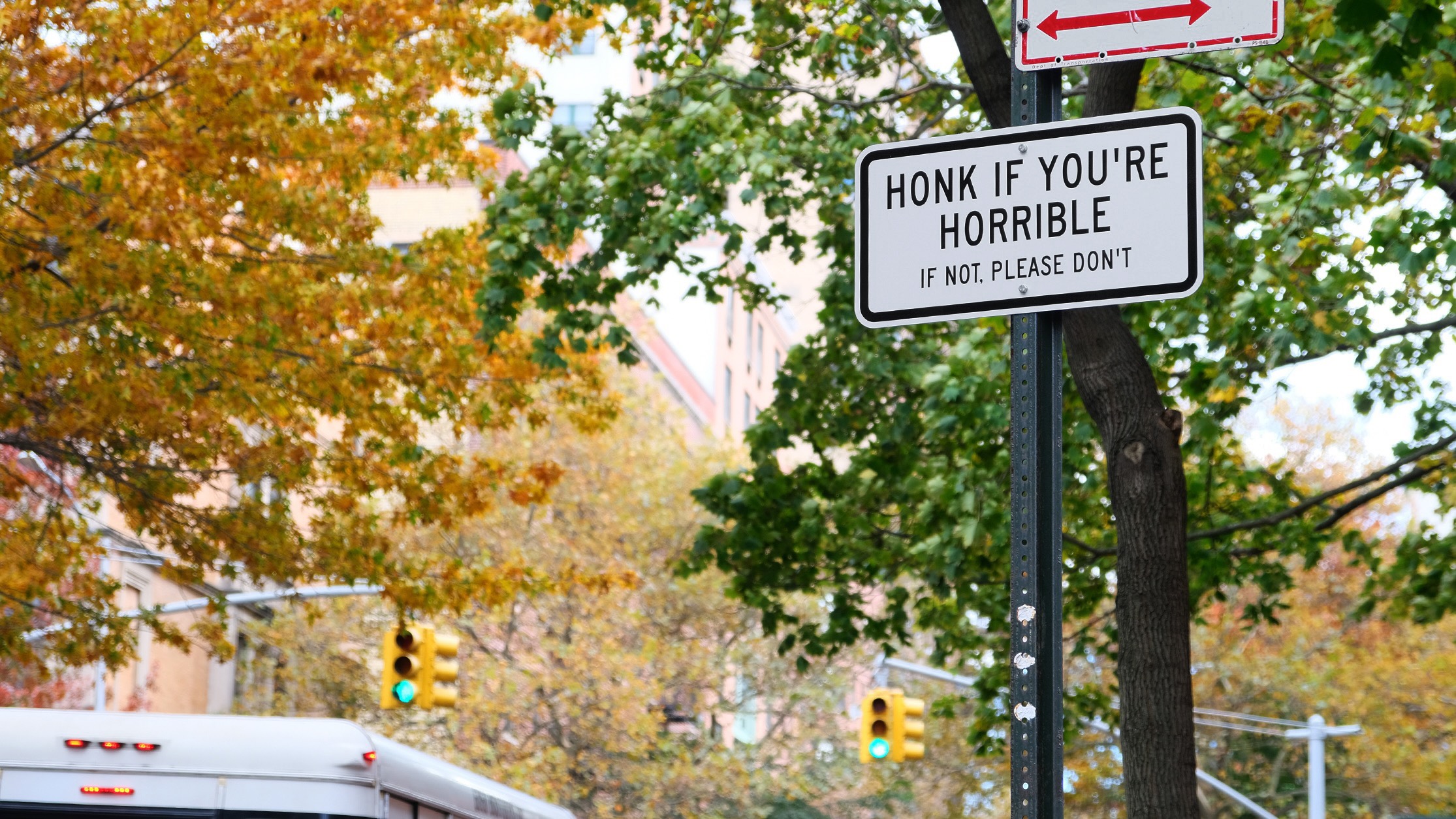 honk if you're horrible sign