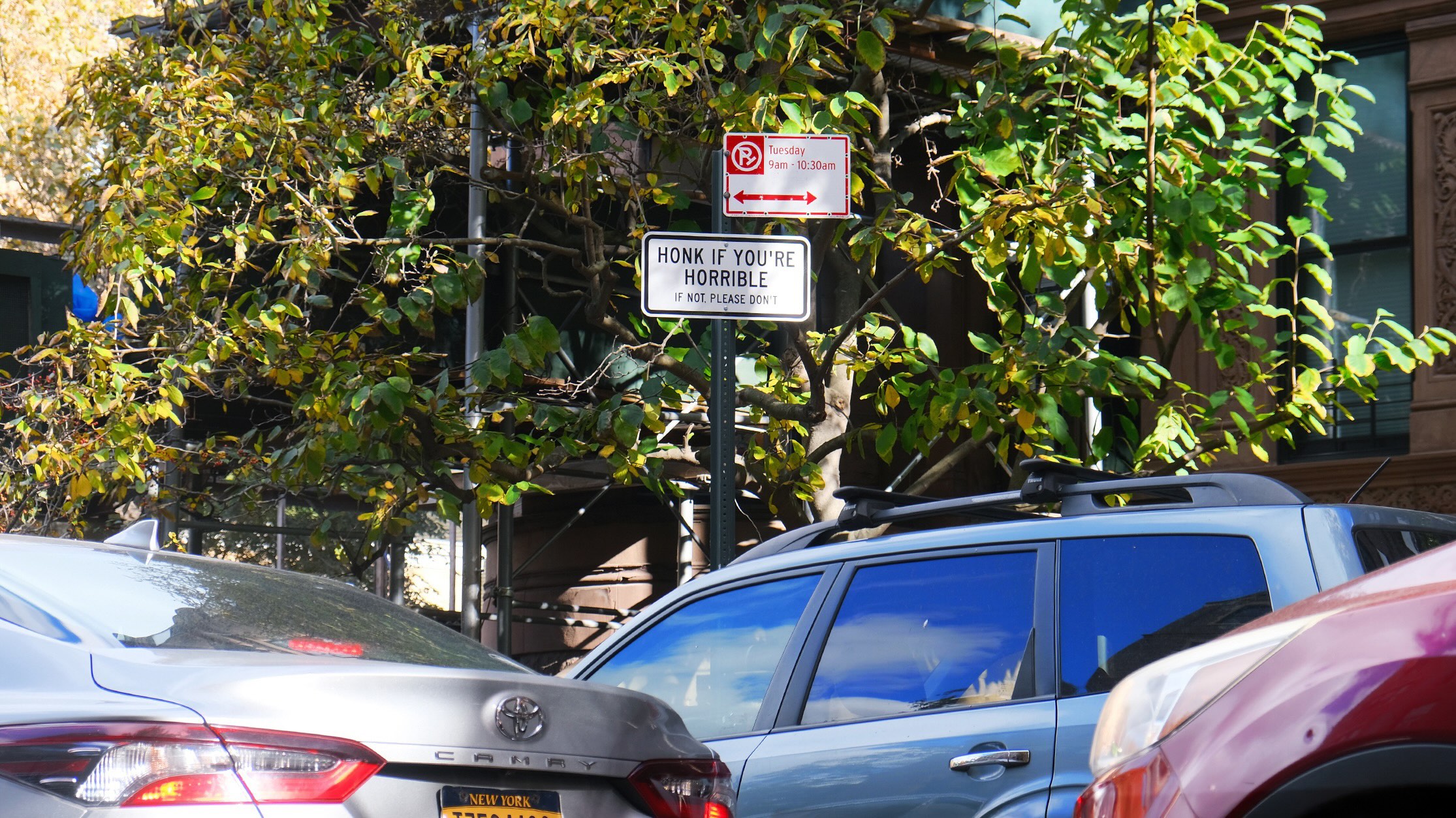 honk if you're horrible sign