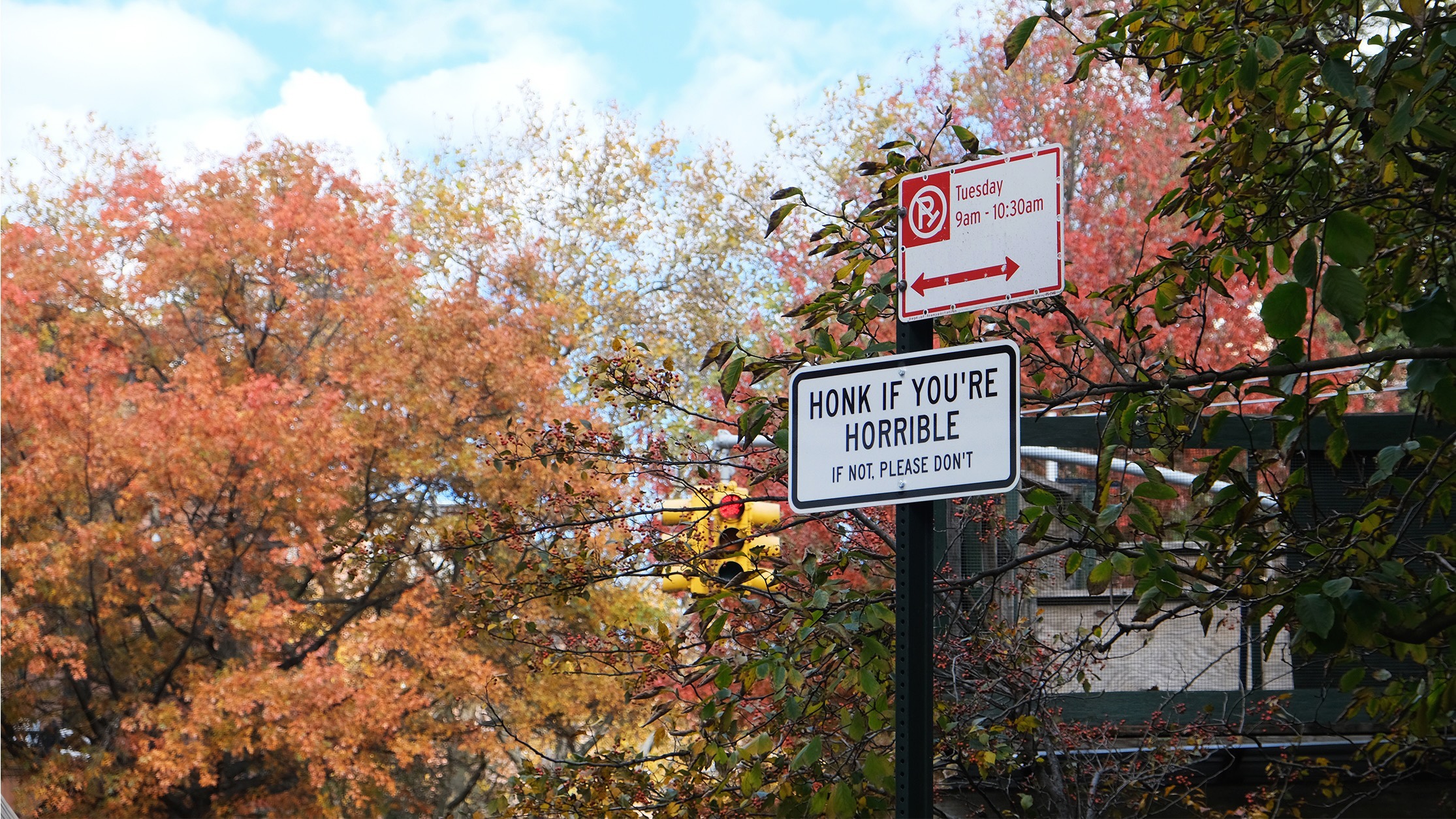 honk if you're horrible sign