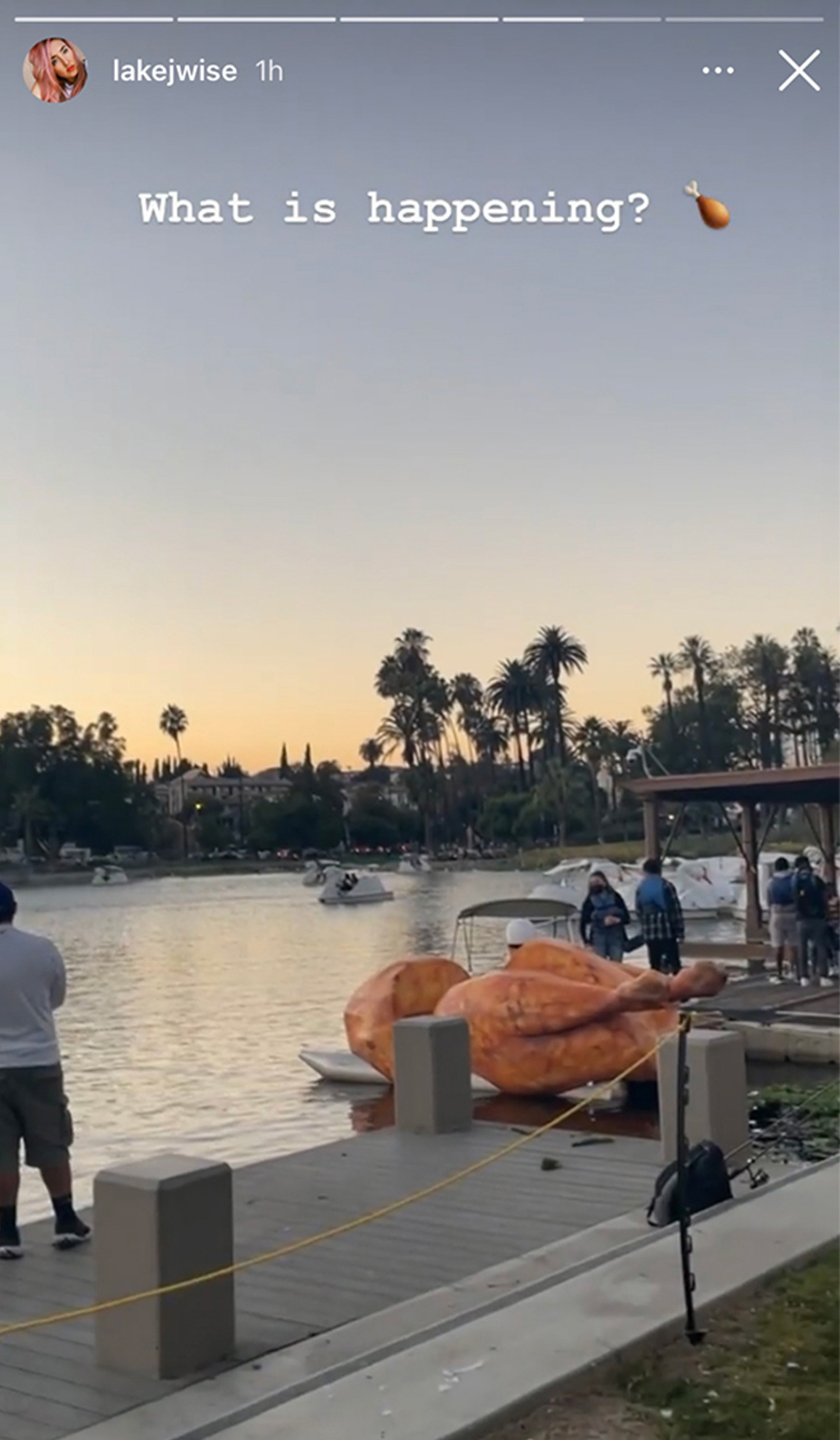 instagram story about the chicken boat