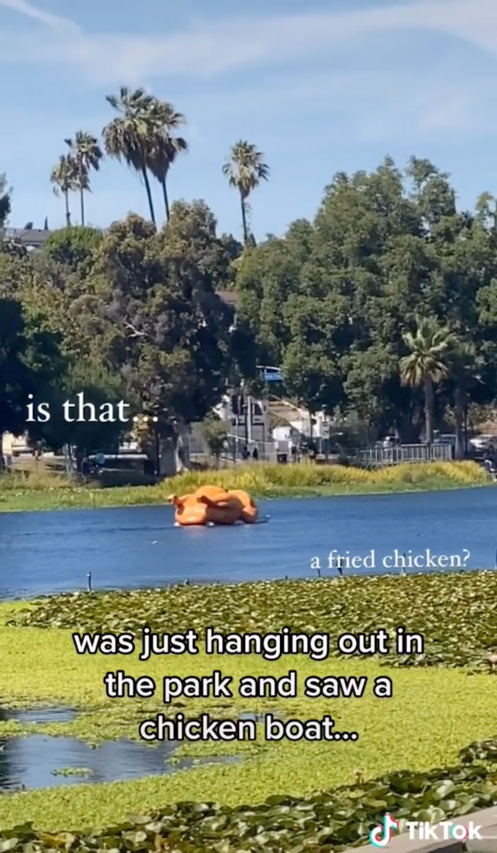 tiktok about the chicken boat